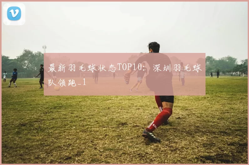 最新羽毛球状态TOP10：深圳羽毛球队领跑_1