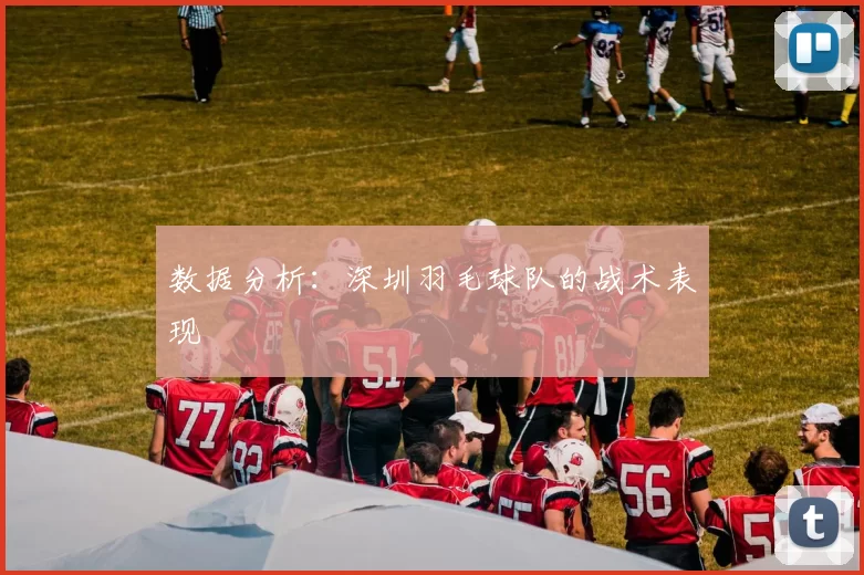 数据分析：深圳羽毛球队的战术表现