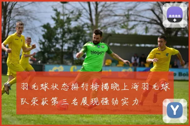 羽毛球状态排行榜揭晓上海羽毛球队荣获第三名展现强劲实力