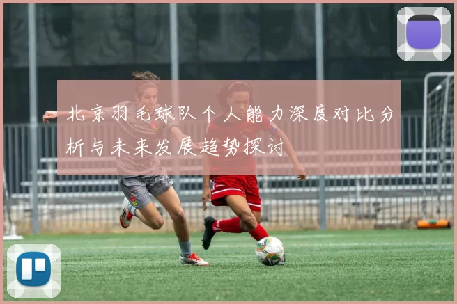 北京羽毛球队个人能力深度对比分析与未来发展趋势探讨