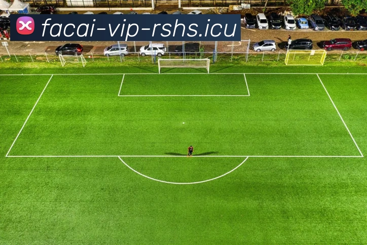 星空体育发展历程